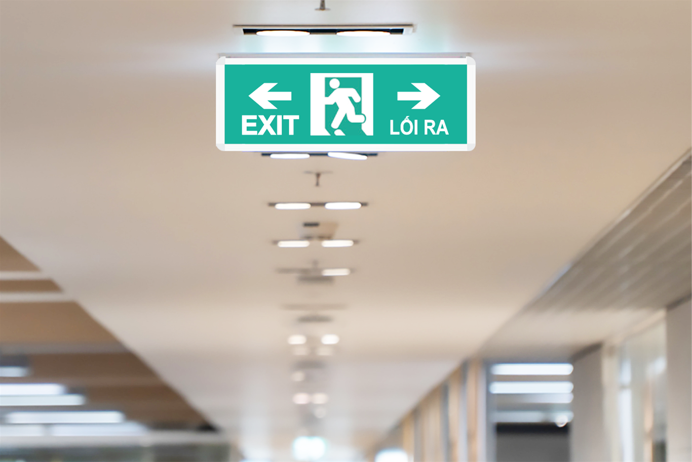 hệ thống đèn Exit 
